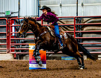 DogAndPony-Sunday-2026-JMrazPhotography-1004
