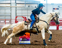 DogAndPony-Sunday-2026-JMrazPhotography-1056