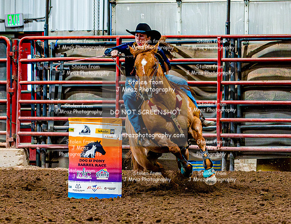 DogAndPony-Sunday-2026-JMrazPhotography-1067
