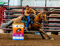 DogAndPony-Sunday-2026-JMrazPhotography-1165