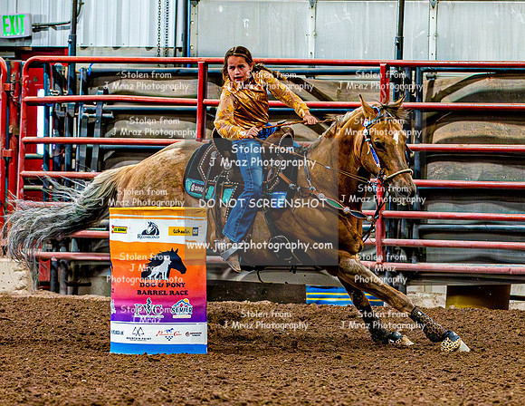 DogAndPony-Sunday-2026-JMrazPhotography-1165