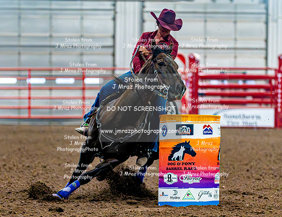 DogAndPony-Sunday-2026-JMrazPhotography-1173