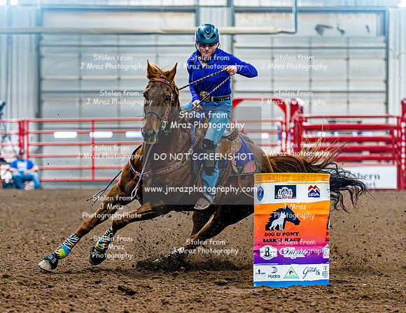 DogAndPony-Sunday-2026-JMrazPhotography-1184