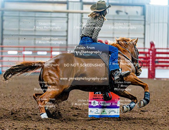 DogAndPony-Sunday-2026-JMrazPhotography-1201