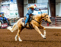 DogAndPony-Sunday-2026-JMrazPhotography-1230