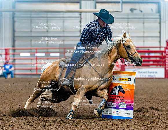 DogAndPony-Sunday-2026-JMrazPhotography-1237