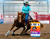 DogAndPony-Sunday-2026-JMrazPhotography-1248