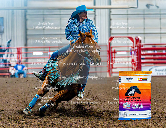 DogAndPony-Sunday-2026-JMrazPhotography-1284