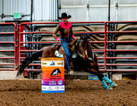 DogAndPony-Sunday-2026-JMrazPhotography-1295