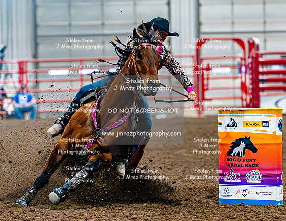 DogAndPony-Sunday-2026-JMrazPhotography-1291