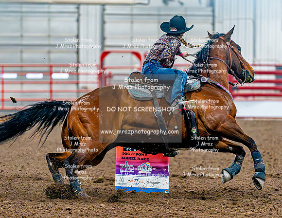 DogAndPony-Sunday-2026-JMrazPhotography-1292