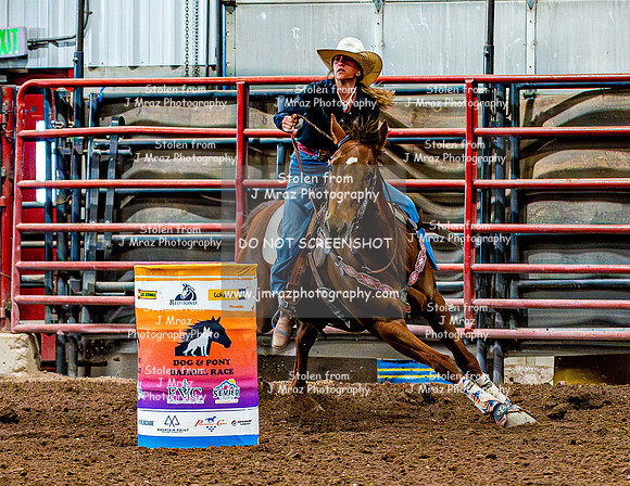 DogAndPony-Sunday-2026-JMrazPhotography-1378