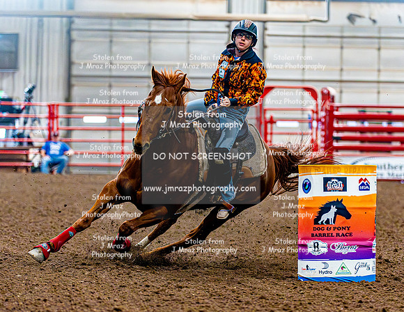 DogAndPony-Sunday-2026-JMrazPhotography-1405