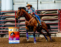 DogAndPony-Sunday-2026-JMrazPhotography-1466