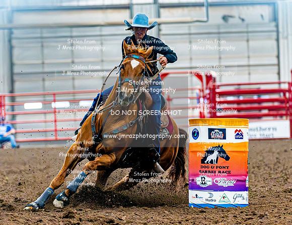 DogAndPony-Sunday-2026-JMrazPhotography-1585