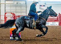DogAndPony-Sunday-2026-JMrazPhotography-1622