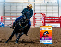 DogAndPony-Sunday-2026-JMrazPhotography-1620