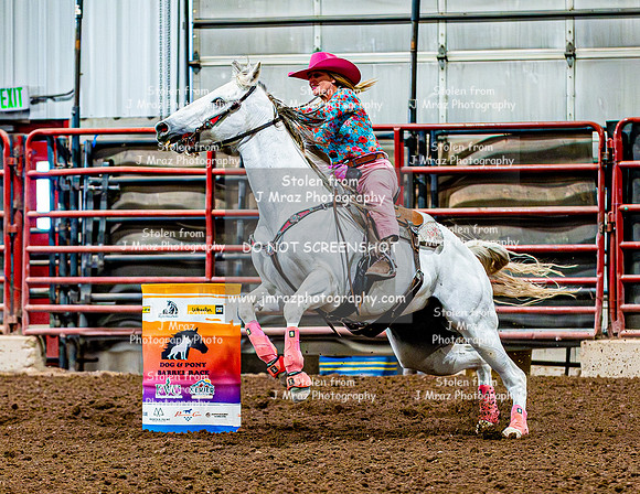 DogAndPony-Sunday-2026-JMrazPhotography-1648
