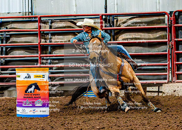 DogAndPony-Sunday-2026-JMrazPhotography-1706