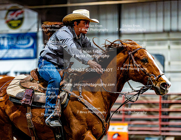 DogAndPony-Sunday-2026-JMrazPhotography-1777