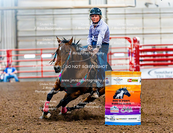 DogAndPony-Sunday-2026-JMrazPhotography-1850