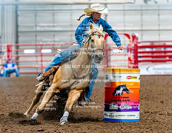 DogAndPony-Sunday-2026-JMrazPhotography-1878