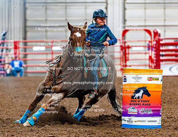 DogAndPony-Sunday-2026-JMrazPhotography-1888