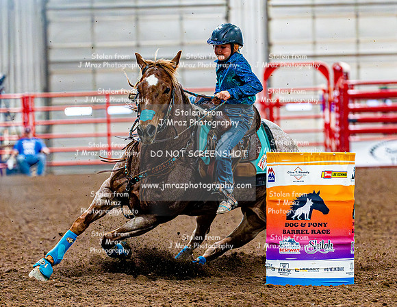 DogAndPony-Sunday-2026-JMrazPhotography-1887