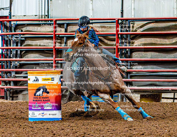 DogAndPony-Sunday-2026-JMrazPhotography-1894