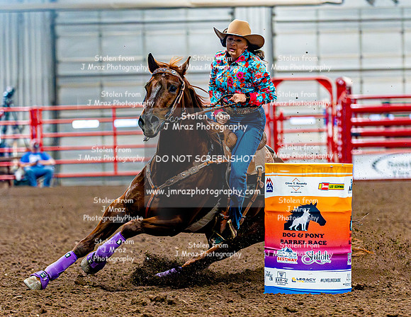 DogAndPony-Sunday-2026-JMrazPhotography-1906