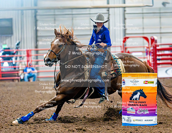 DogAndPony-Sunday-2026-JMrazPhotography-1911
