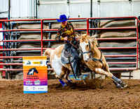 DogAndPony-Sunday-2026-JMrazPhotography-1921