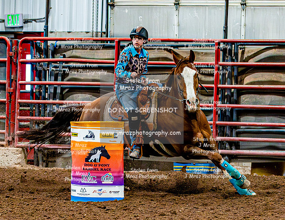DogAndPony-Sunday-2026-JMrazPhotography-1954