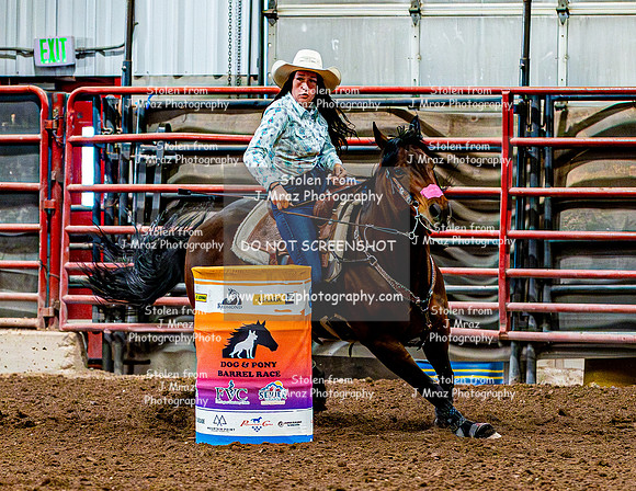 DogAndPony-Sunday-2026-JMrazPhotography-1972