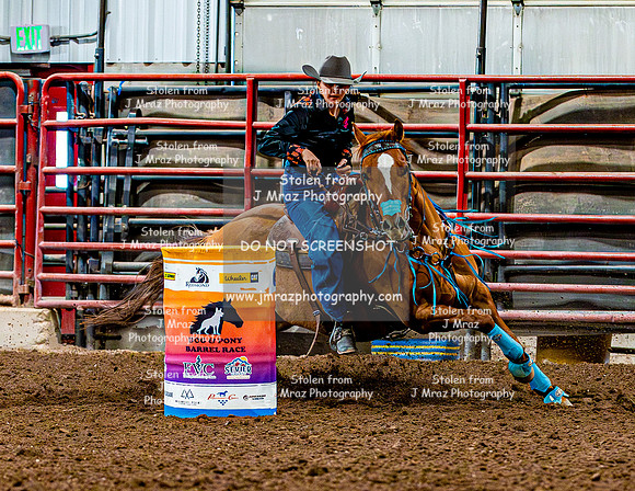 DogAndPony-Sunday-2026-JMrazPhotography-1982