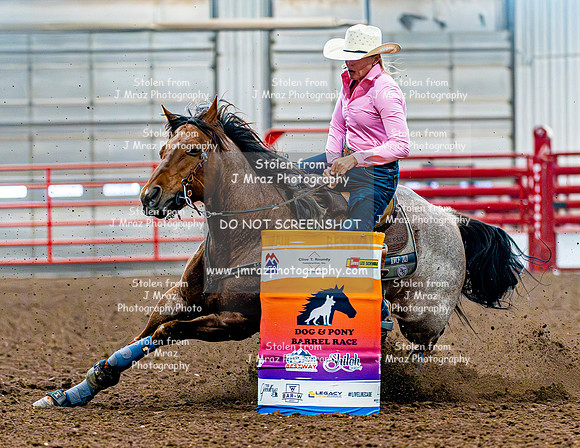 DogAndPony-Sunday-2026-JMrazPhotography-1992