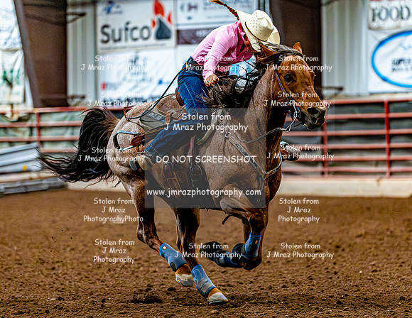 DogAndPony-Sunday-2026-JMrazPhotography-1998