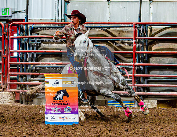 DogAndPony-Sunday-2026-JMrazPhotography-2011