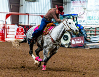 DogAndPony-Sunday-2026-JMrazPhotography-2015