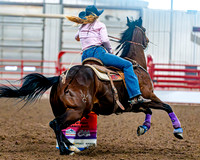 DogAndPony-Sunday-2026-JMrazPhotography-2050