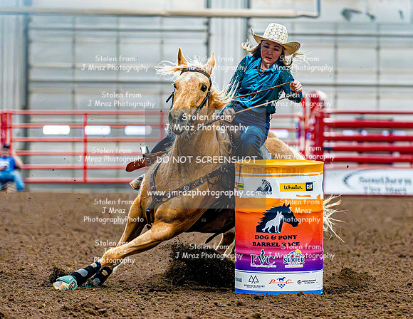 DogAndPony-Sunday-2026-JMrazPhotography-2104