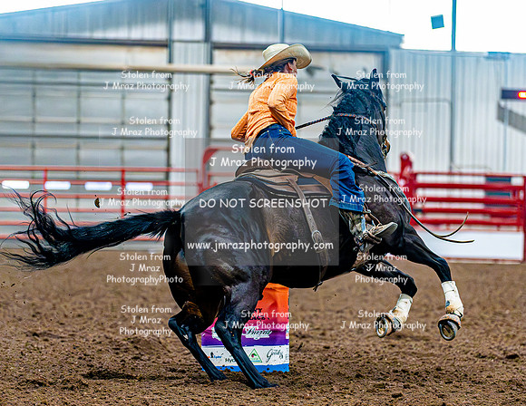 DogAndPony-Sunday-2026-JMrazPhotography-2135