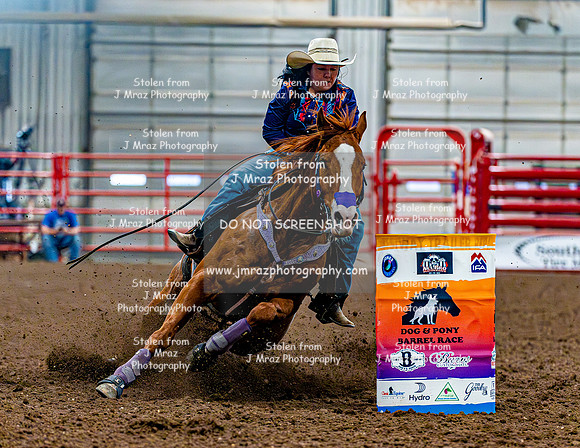 DogAndPony-Sunday-2026-JMrazPhotography-2142