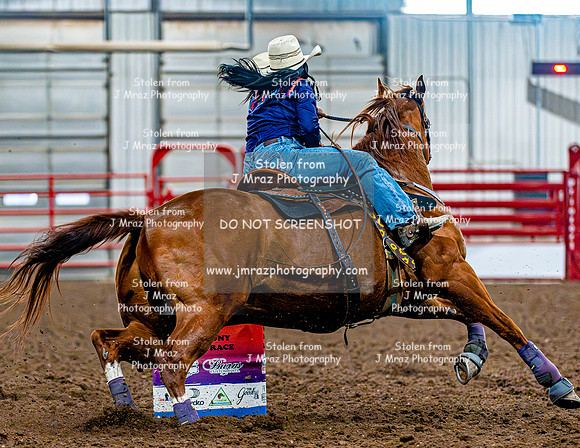 DogAndPony-Sunday-2026-JMrazPhotography-2147