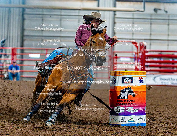 DogAndPony-Sunday-2026-JMrazPhotography-2156