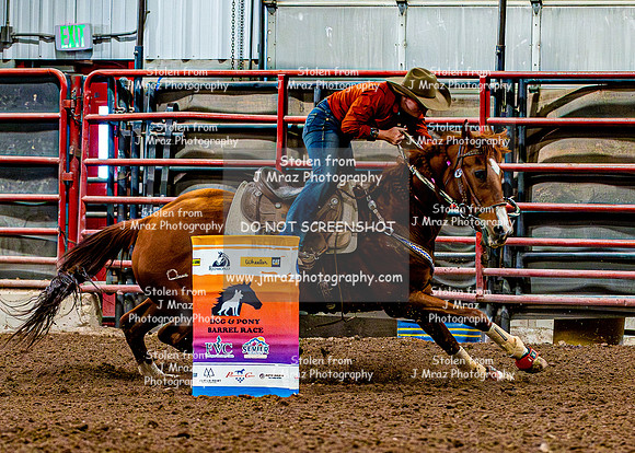 DogAndPony-Sunday-2026-JMrazPhotography-2160