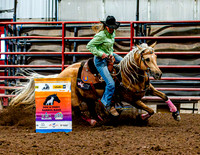 DogAndPony-Sunday-2026-JMrazPhotography-2189