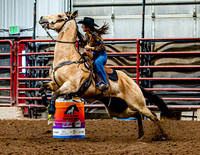 DogAndPony-Sunday-2026-JMrazPhotography-2216