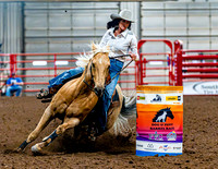DogAndPony-Sunday-2026-JMrazPhotography-2224