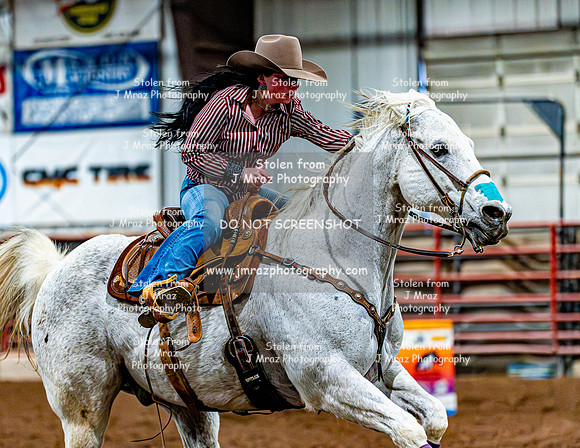 DogAndPony-Sunday-2026-JMrazPhotography-2231